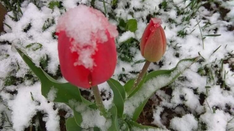 Снежить будет не только в Карпатах: прогноз погоды на 19 апреля