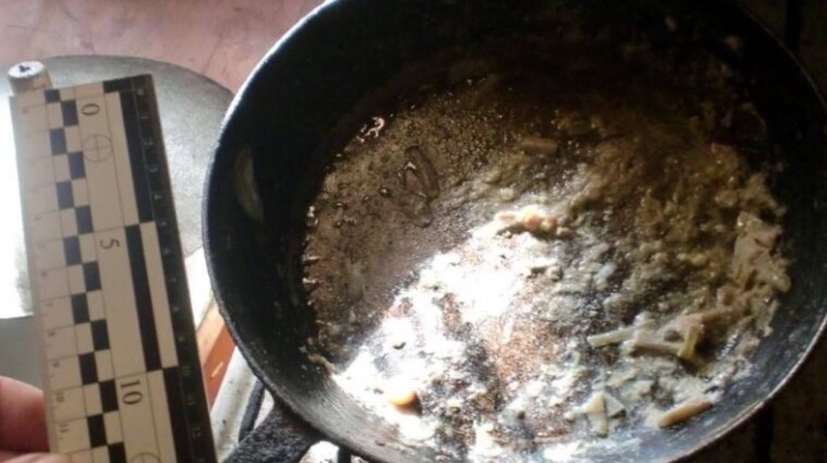 Две сестры насмерть отравились грибами в Киевской области - фото