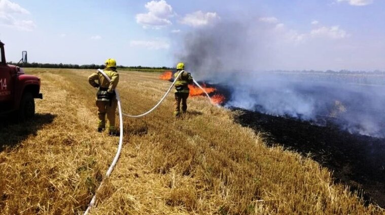 В Україні оголошено найвищий рівень пожежної небезпеки - ДСНС