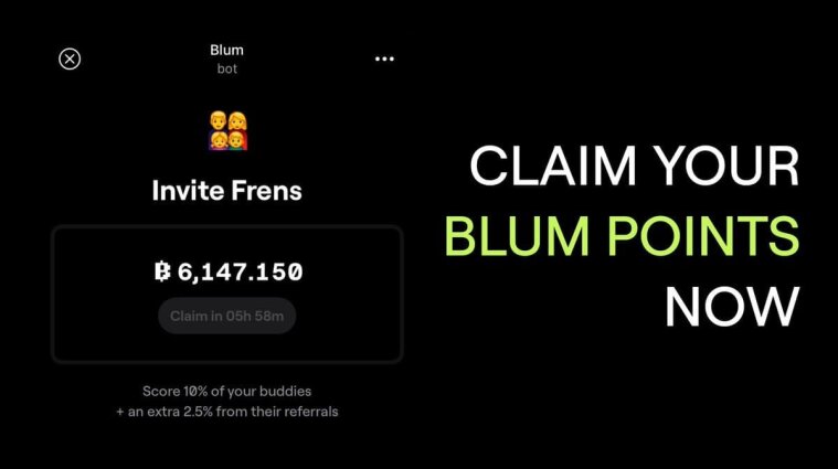Blum Crypto Bot: що це таке і як за його допомогою заробити криптовалюту