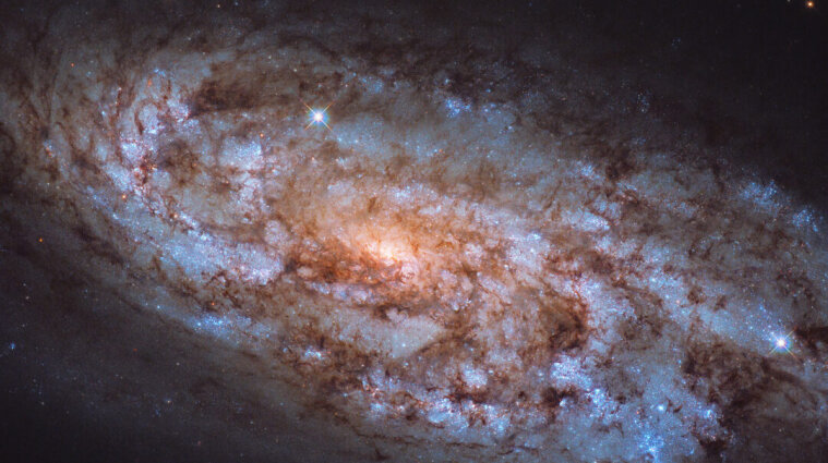 Астрономы показали галактику в созвездии Голубя