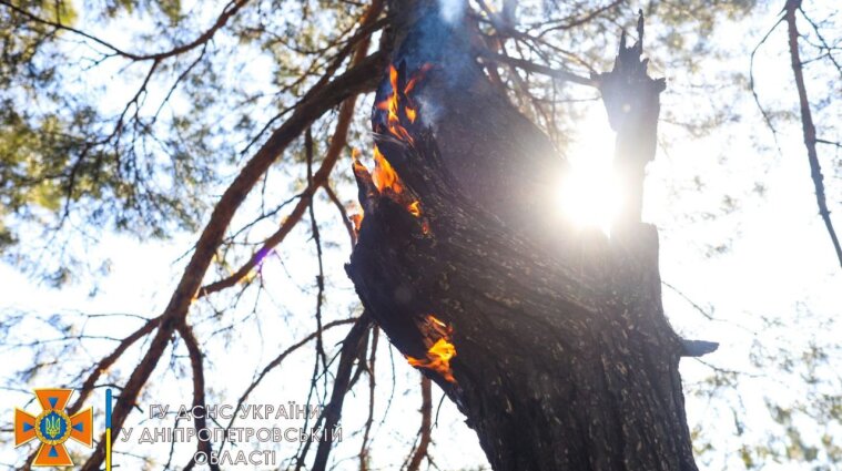 Жара надвигается: в Украине объявлен чрезвычайный уровень пожарной опасности