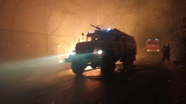 Пожежа на Луганщині: ситуація ускладнилась - вогонь загрожує 22 населеним пунктам (відео)