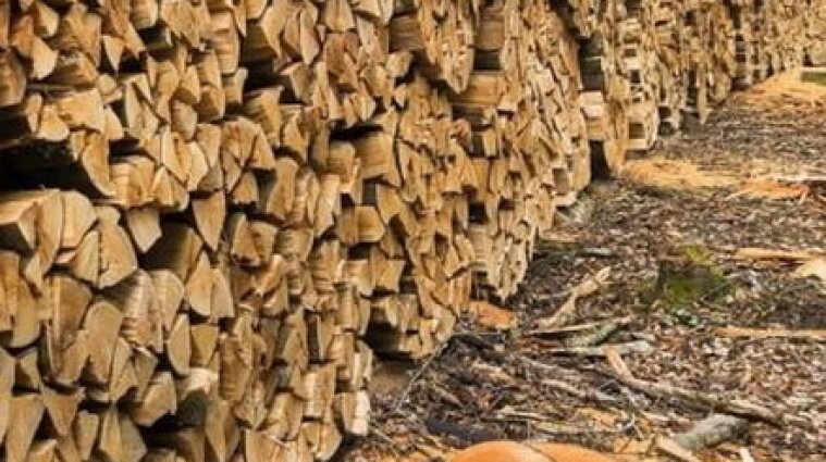 "ДроваЄ": в Україні запрацював інтернет-магазин для придбання дров
