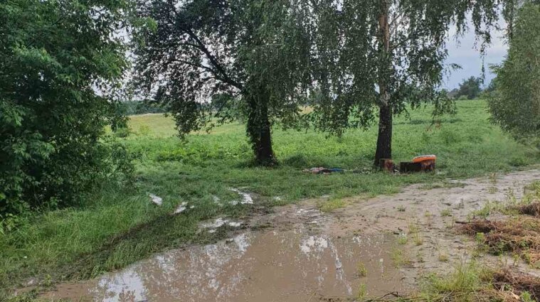 В Черкасской области молния убила двух человек, еще один в реанимации