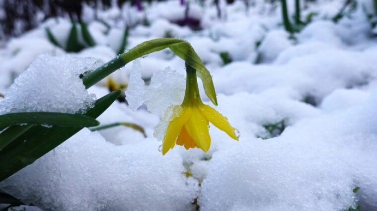 В Україну повернулася зима: прогноз погоди на 29 березня