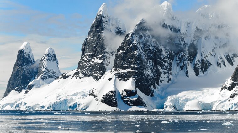 Вчені в Антарктиді знайшли невідомих живих організмів