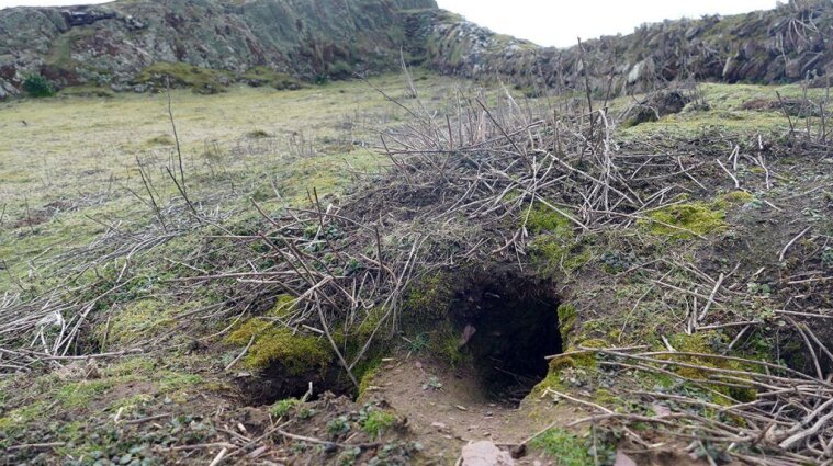 В Уельсі кролики знайшли знаряддя праці та побуту доби мезоліту та бронзового століття