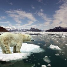 Кліматична катастрофа на Землі видається неминучою - вчені
