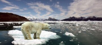 Кліматична катастрофа на Землі видається неминучою - вчені