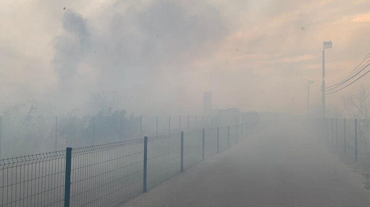 Лесные пожары в Луганской области: огонь добрался до КПВВ "Станица Луганская"