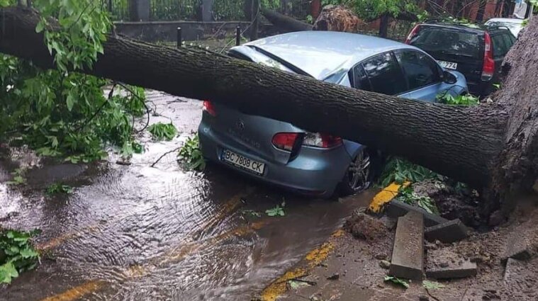 Обірвані ЛЕП, повалені дерева, не працює транспорт: Львовом пронеслася буря з дощем (відео)