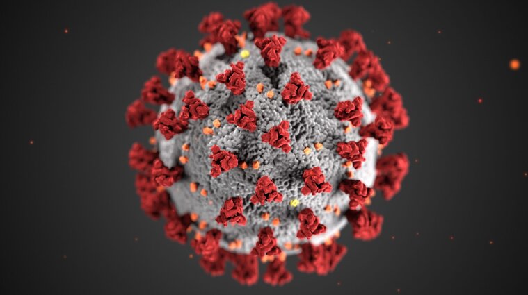 ВООЗ назвала ймовірну причину поширення коронавірусу