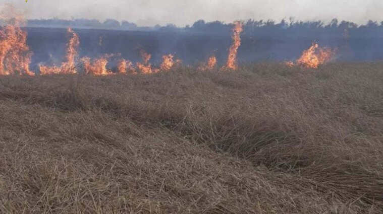 Пшеничное поле выжгла молния в Одесской области - фото
