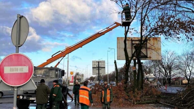 За два дні вітер зламав 120 дерев у Києві - фото