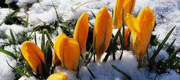 Від плюс 16 до мокрого снігу: погода 5 березня дивуватиме різноманіттям