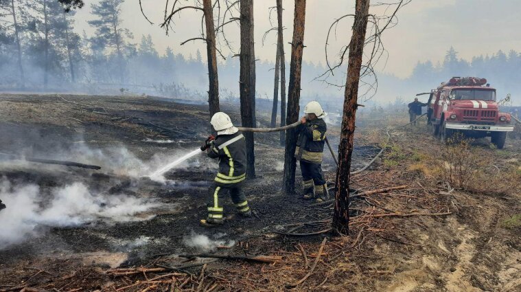 У Луганській області загасили всі осередки пожежі - ДСНС