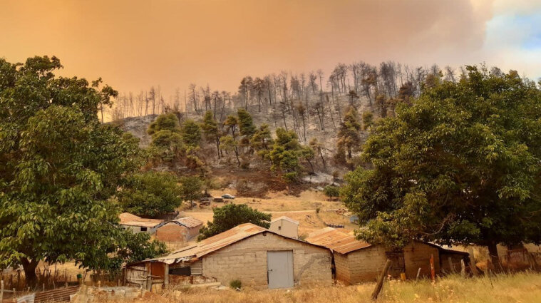 Приборкати лісові пожежі у Греції намагаються 22 країни