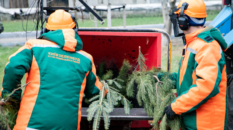 В Киеве заработали пункты утилизации новогодних елок: список адресов
