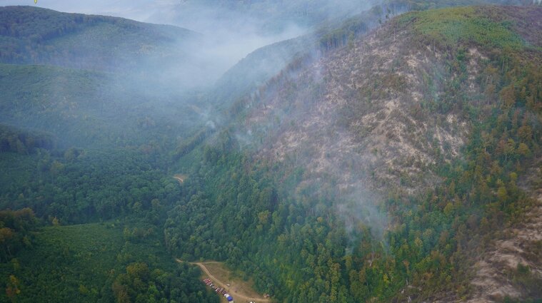 Третьи сутки пылает лес на Закарпатье (фото)