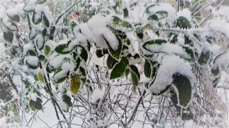 В Україні розпочинається синоптична зима: прогноз погоди на сьогодні