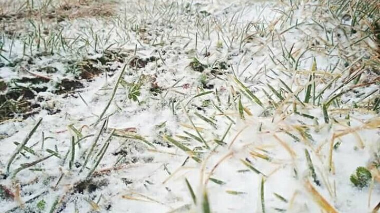 В Карпатах выпал первый снег: где заметили осадки