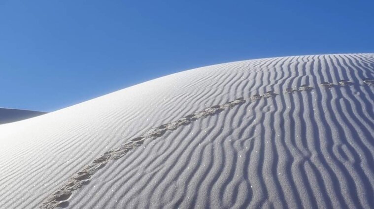 В пустыне Сахара шестой раз за 40 лет выпал снег - фото
