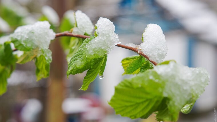 Погода в понедельник: в Киеве ожидается мокрый снег