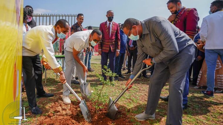 Этой весной в Эфиопии высадят шесть миллиардов деревьев
