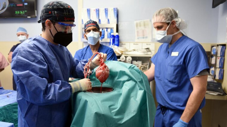 Впервые в мире в США человеку пересадили свиное сердце