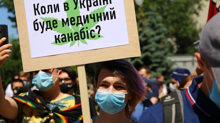 Медичний канабіс в Україні: чому депутати злякалися конопляних плантацій та "косячків"
