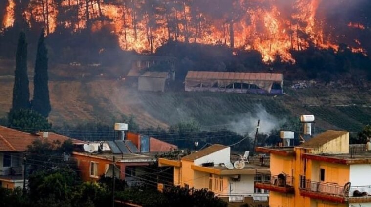 Не обошлось без России: кого подозревают в поджоге лесов в Турции