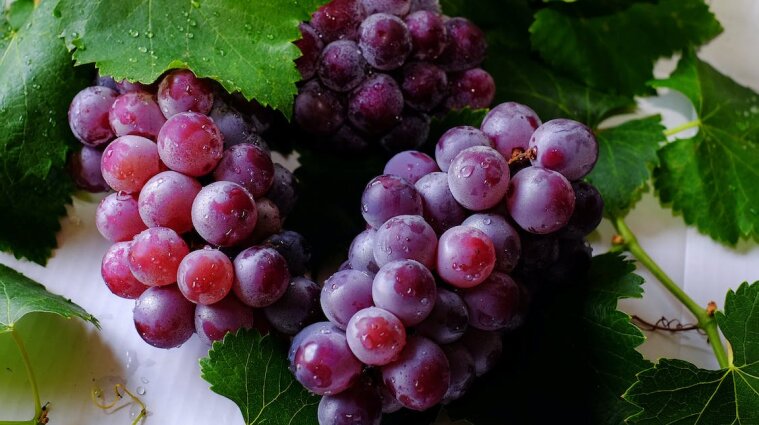 Король осіннього саду виноград: від чого ліку' та кому не можна вживати