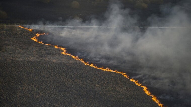 Рада ограничила выжигание травы в Украине