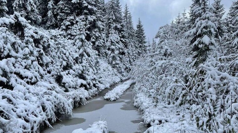 Настоящая зима: украинские Карпаты засыпает снегом