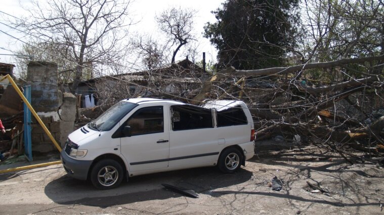 Киевлян предупредили об опасности: столицу накроет сильный ветер