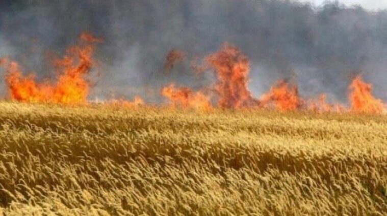 Три человека погибли в результате поджогов сухой травы на Прикарпатье