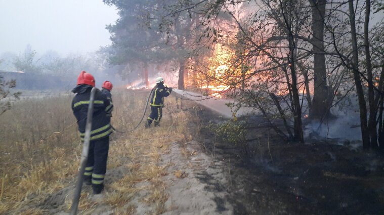 Пожары в Луганские области: пламенем охвачено более 13 тыс. га, на место вылетел премьер