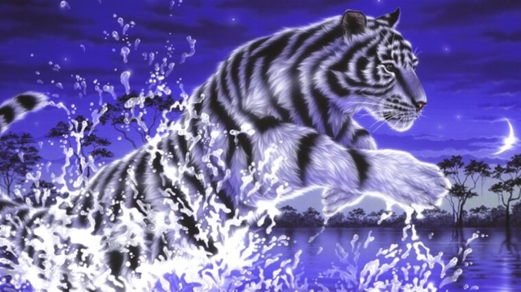 Рік Чорного Водяного Тигра наступає за китайським календарем: що треба знати про нього