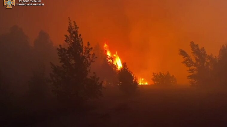 Масштабна лісова пожежа біля Чорнобиля потрапила на відео