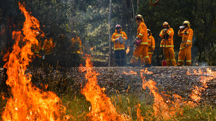 В Австралии из-за лесных пожаров почти сгорел весь остров
