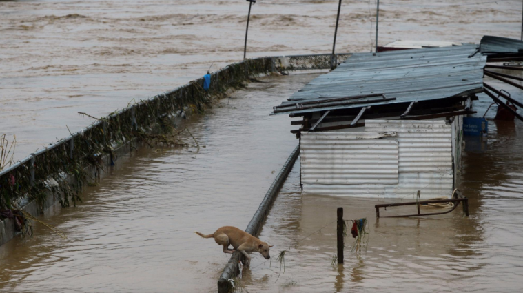 Тайфун "Вамко" вызвал худшее наводнение за последние годы на Филиппинах