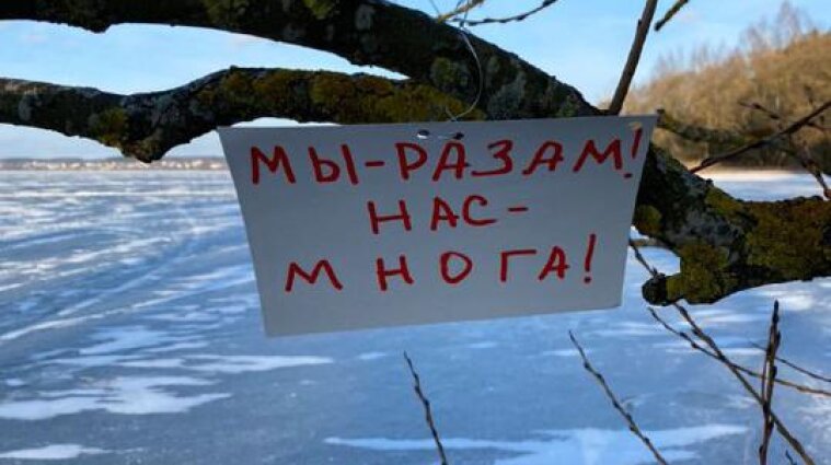Беларусы начали протестовать красно-белыми плакатами на деревьях - фото