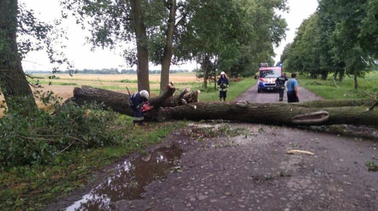 Затопленные улицы и поваленные деревья: в Виннице и области прошел сильный ливень (видео)