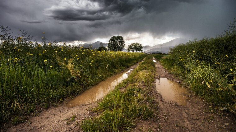 Дощі, грози та тепло: синоптики про погоду в Україні 4 травня