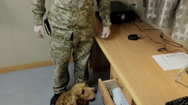 В Николаеве служит пес, который находит наркотики в неожиданных местах