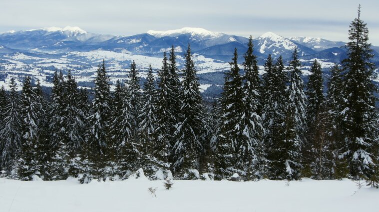 Укрзализныця запустит "Лыжный экспресс" в горнолыжный курорт в Карпатах