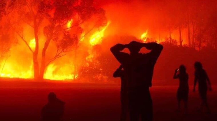Лесные пожары вспыхнули в Алжире: есть жертвы и пострадавшие