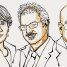 Нобелевский комитет объявил лауреатов премии по химии