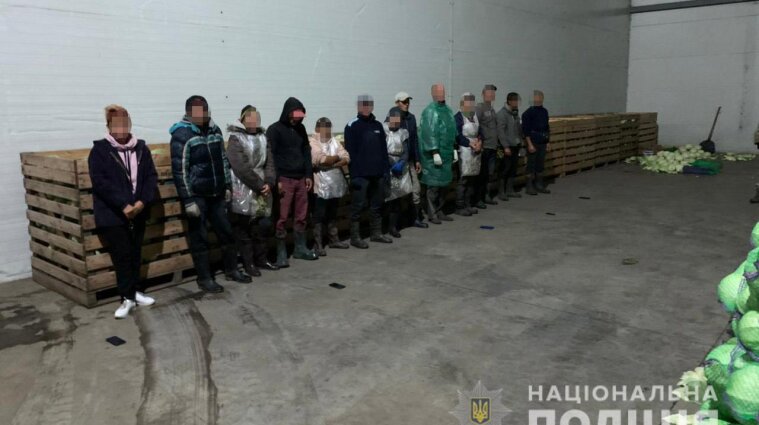60 украинцев находились в рабстве у фермеров на Днепропетровщине - видео